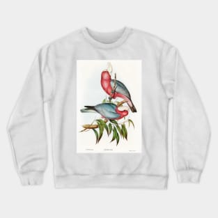 Cacatua Eos (Rose-breasted Cockatoo) Crewneck Sweatshirt